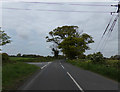 TM4878 : B1126 Wangford Road, Reydon by Geographer