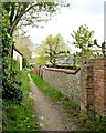 Aston Tirrold: passageway and pleached lime trees