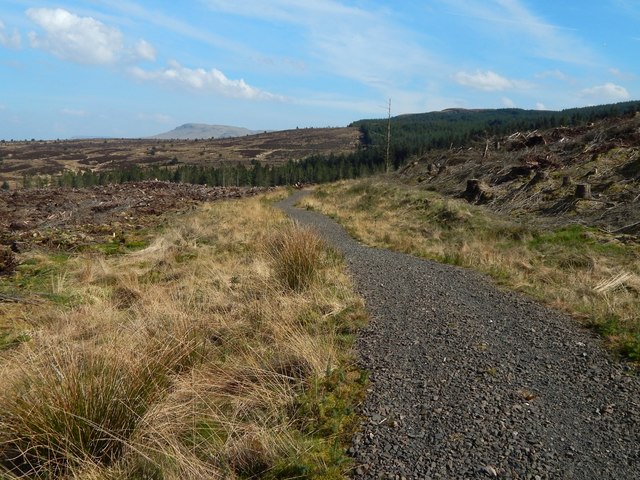 Path Through Cleared Woodland © Lairich Rig Cc By Sa 2 0 Geograph Britain And Ireland