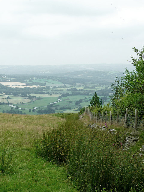 Hill pasture and valley near Llanddewi Brefi, ceredigion