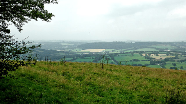 Hill pasture south-west of Llanddewi Brefi in Ceredigion