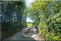 SS5529 : North Devon : Country Lane by Lewis Clarke
