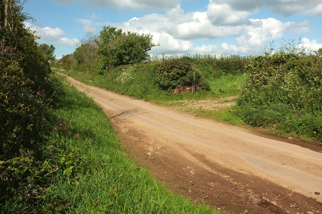 Lane to East Allington