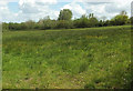 Field near Greater Knowle Farm