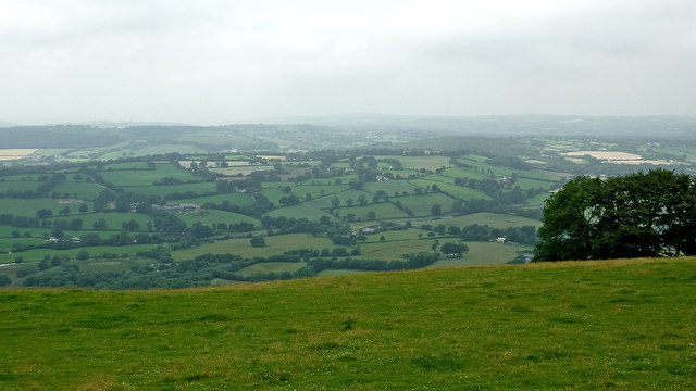 Hill pasture above the Brefi valley, Ceredigion