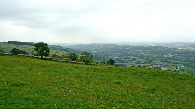 Hill pasture above the Teifi valley, Ceredigion