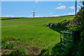 North Devon : Grassy Field