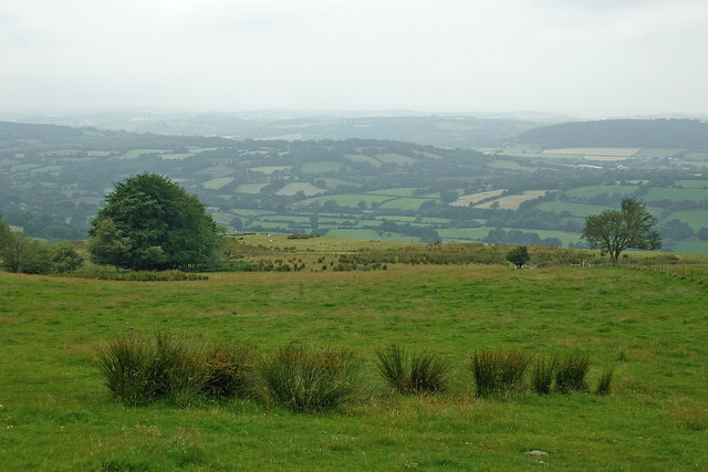 Hill pasture above the Teifi Valley, Ceredigion