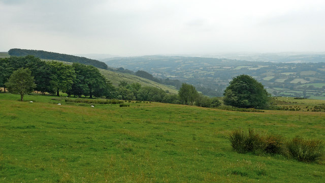 Hill pasture south-west of Llanddewi Brefi in Ceredigion
