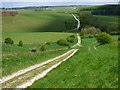 Tracks and downland, Upavon