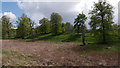 Parkland and rough grassland near Drummuir Castle