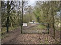 Walkers and cyclists on the Downslink