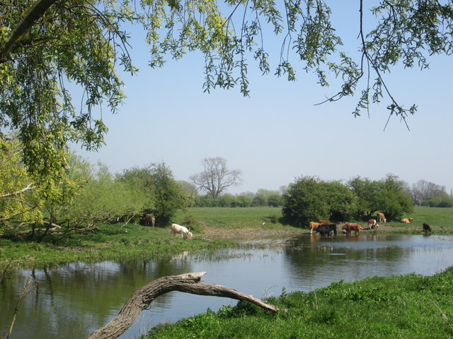 River Great Ouse at Fen Drayton Nature Reserve