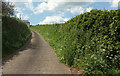 Entrance drive to Bremridge Farm