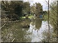 Pond beside the Downslink