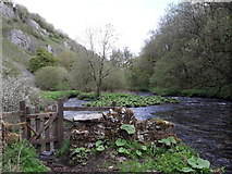 SK1172 : Chee Dale: a gate on the riverside path by Chris Downer