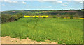 Field near Fishleigh Bridge