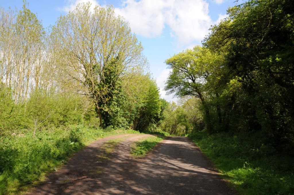 The Fosse Way Near Brokenborough © Philip Halling Cc-by-sa 2.0 