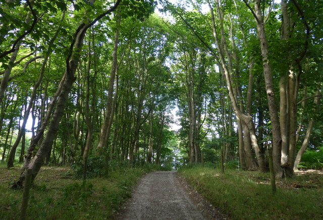Suffolk Coast Path in Foxburrow Wood