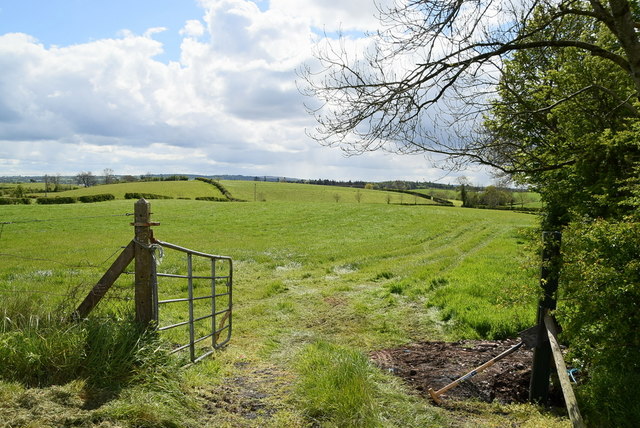 An open field, Moylagh