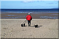 NS3229 : A dog walker on Troon South Sands by Walter Baxter