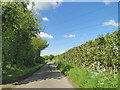 About to pass under the power cables at Thrandeston