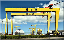 J3575 : Harland & Wolff cranes, Belfast (May 2019) by Albert Bridge