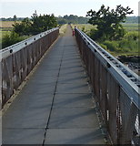 TM4975 : Footbridge across the River Blyth by Mat Fascione