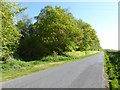 Moor Road out of Longtown