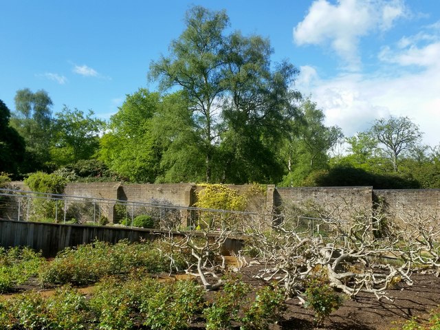 Part of the walled garden, Savill Garden