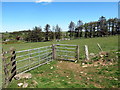 Llwybr ceffyl Rhos Garn-wen / Rhos Garn-wen bridleway