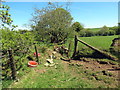 Llwybr Blaen-rallt-ddu / Blaen-rallt-ddu path