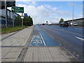 London Cycle Superhighway 3 (CS3)