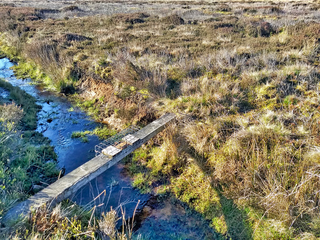 Fenn trap, Dallow Moor