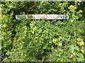 TM4977 : Rissemere Lane East sign by Geographer