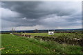 Drystone wall and fields south of Hoylandswaine.