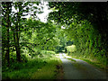 Lane to Pont Glanrhyd, Ceredigion