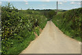 Lane near Hollick Farm