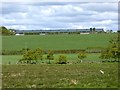 Poultry house near Netherhirst Farm