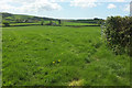 Farmland near Rooks Farm