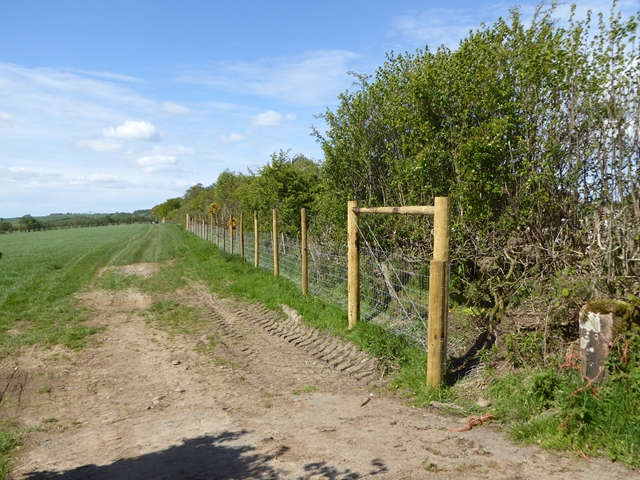 Fence near Netherhirst Farm