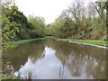 Letcombe Brook Cress Bed