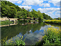 River Lea near Hertford