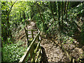 Woodland path by the River Beane