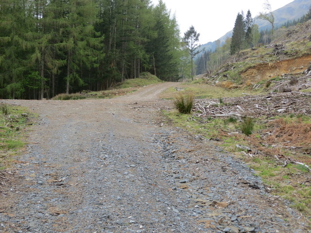 Glen Lyon - Track into forest near to Invervar