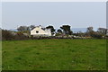 Houses at Trewartha near Veryan