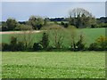 Farmland, Enford