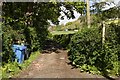 Footpath to Bryn-hyfryd