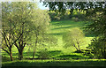 Valley near Hannaford