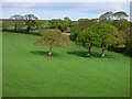 Farmland, Kea